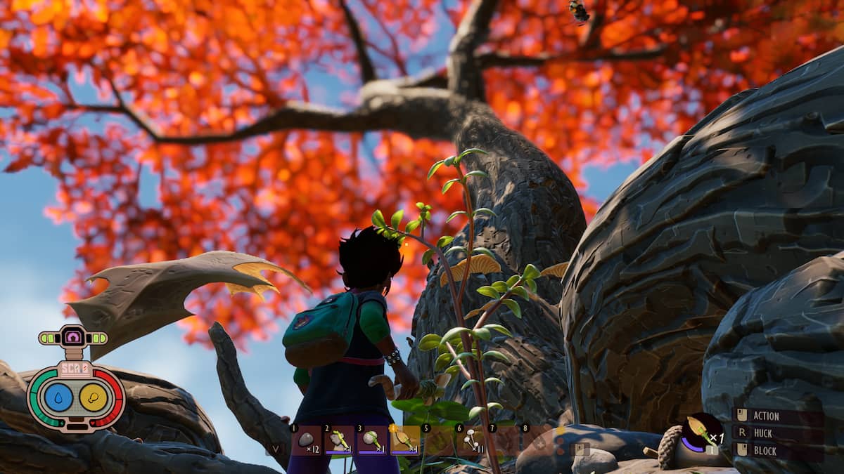 Player looking at the big oak tree