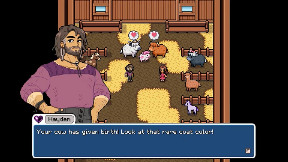 A screenshot of the official gameplay from Fields of Mistria. Image shows a man called Hayden in a purple shirt commenting on the white and pink baby cow that has just been born. The speech bubble at the bottom reads 