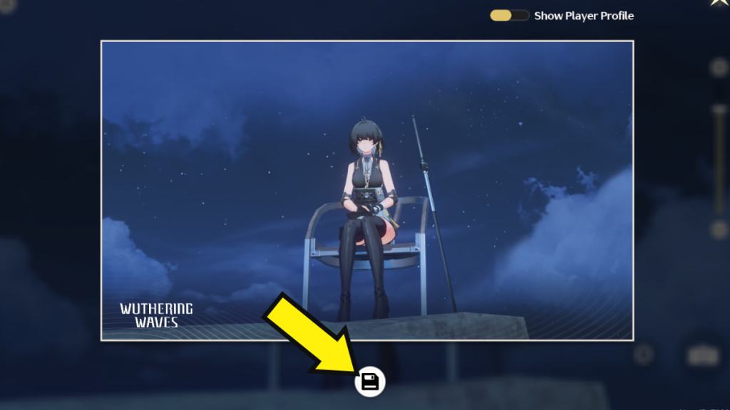 Wuthering Waves screenshot save button