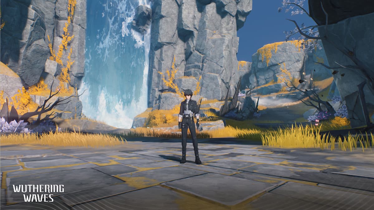 One of two first playable characters in Wuthering Waves posing in front of a waterfall.