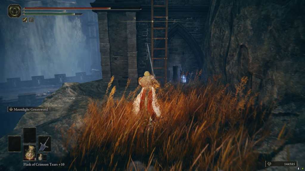 Castle Ensis ladders in the Shadow of the Erdtree DLC
