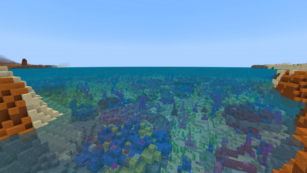 A large Minecraft Coral Reef biome