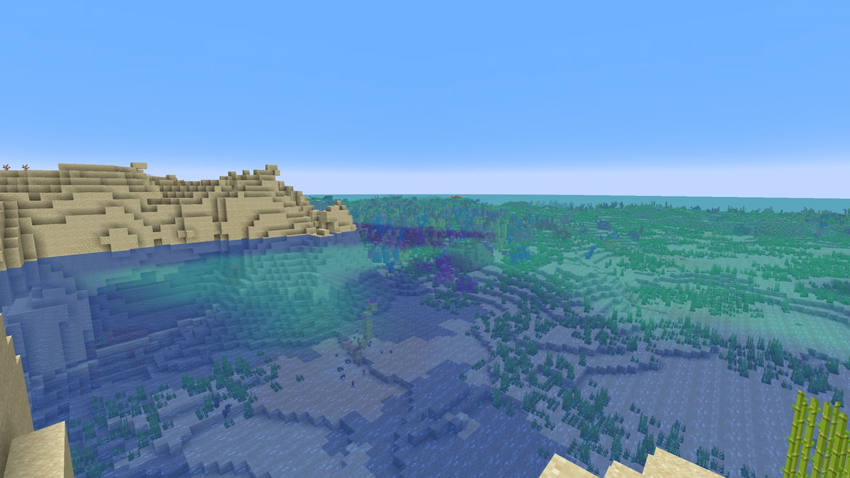 A single coral in front of a Minecraft Coral Reef