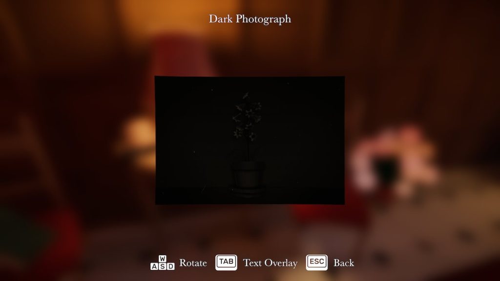 Dark photograph in Botany Manor.