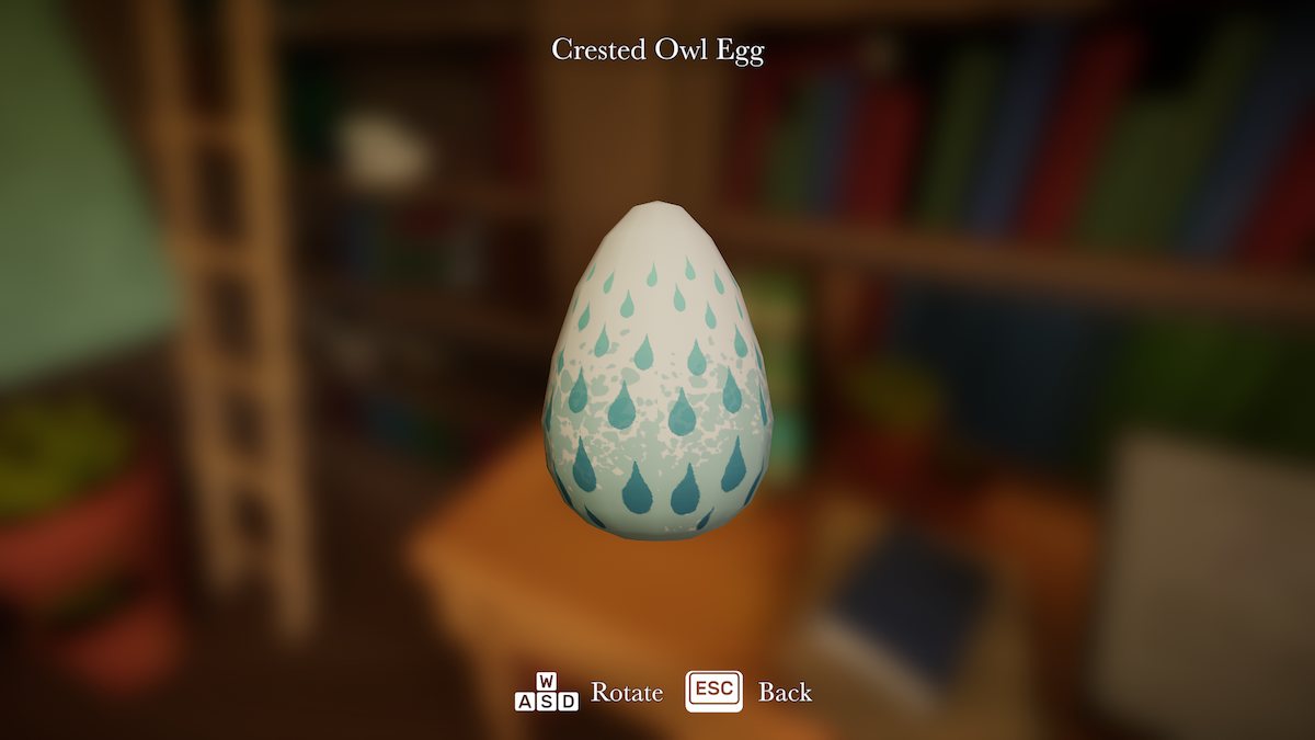 Owl egg in Botany Manor.