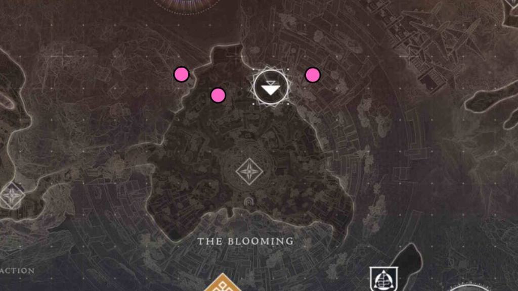 All Region chests in the Blooming in Destiny 2 The Final Shape