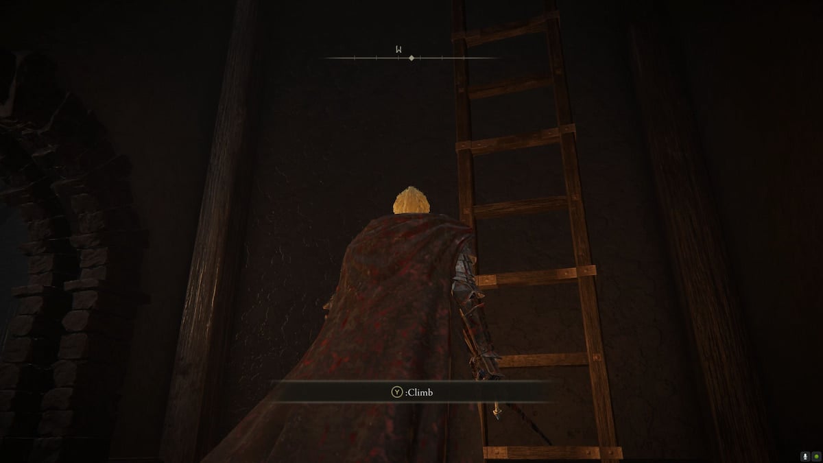 Ladder leading to a locked door in Shadow of the Erdtree