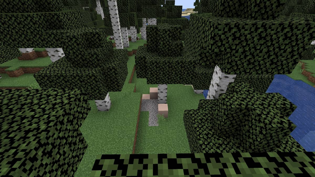 A set of Minecraft Trail Ruins around the base of a birch tree